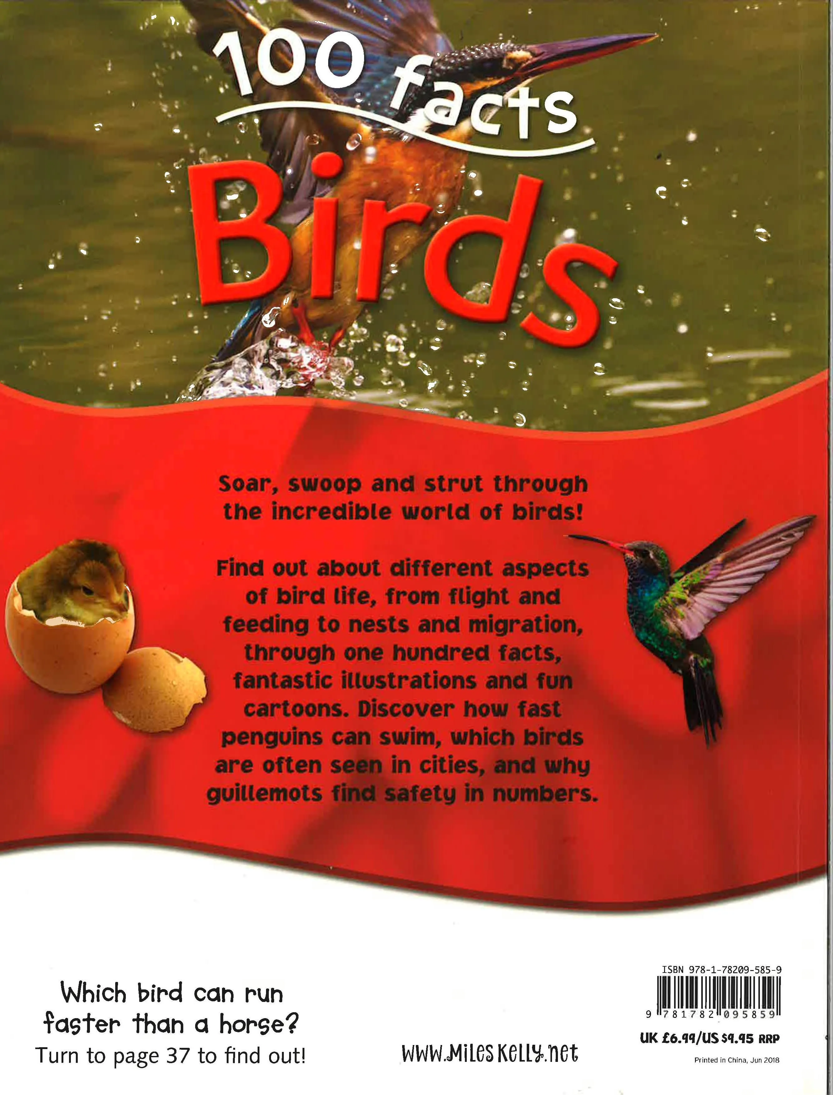 100 Facts: Birds