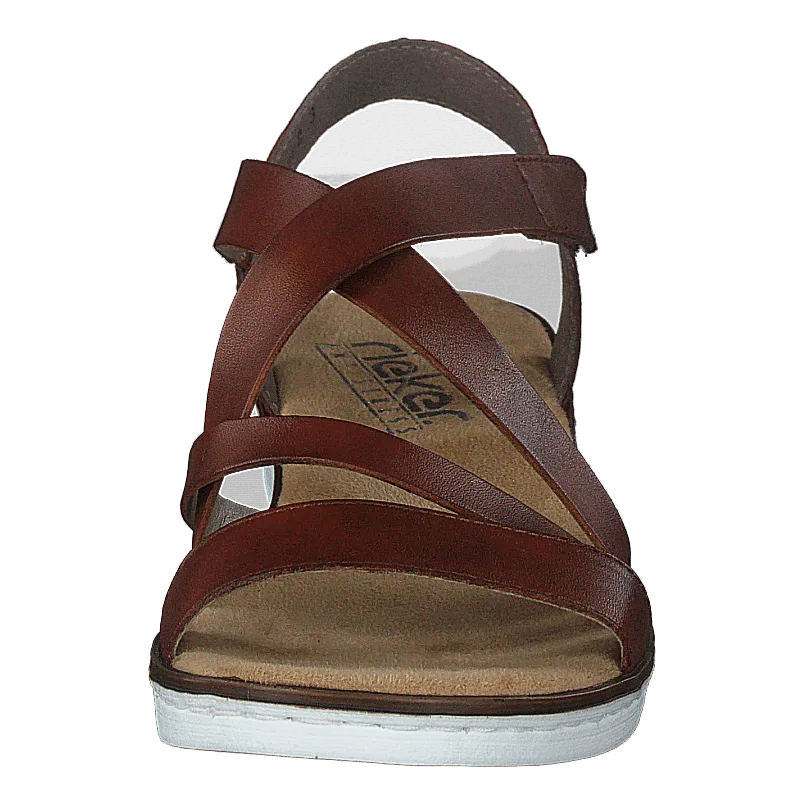 63663-24 Brown