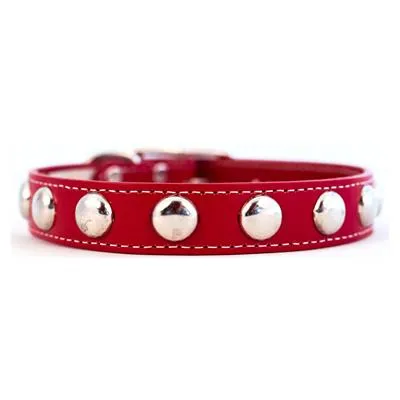 Silver Studded Collars