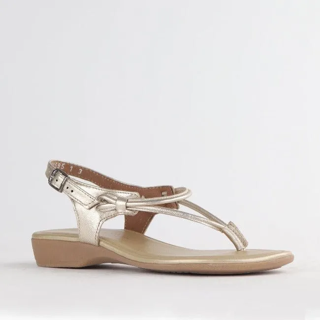 Women's Thong Flat Sandal in Gold- 10732