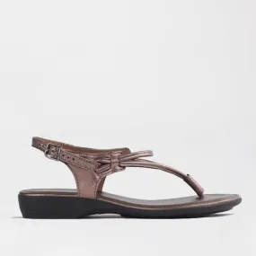 Women's Thong Flat Sandal in Lead - 10732